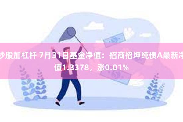 炒股加杠杆 7月31日基金净值：招商招坤纯债A最新净值1.3378，涨0.01%