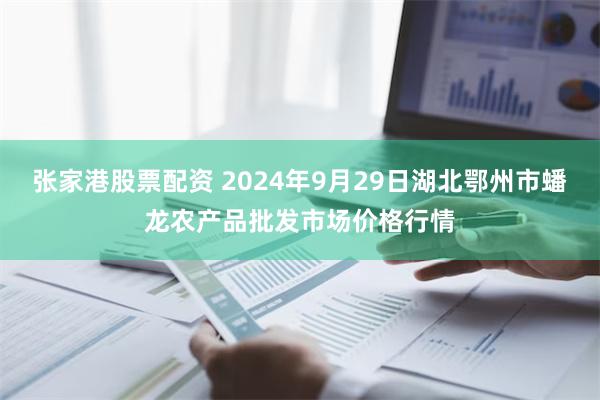 张家港股票配资 2024年9月29日湖北鄂州市蟠龙农产品批发市场价格行情