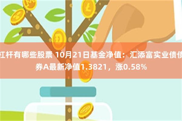 杠杆有哪些股票 10月21日基金净值：汇添富实业债债券A最新净值1.3821，涨0.58%