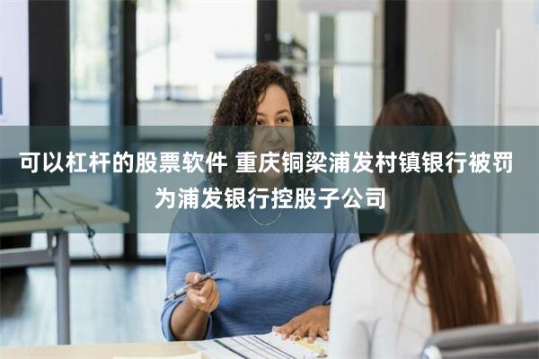 可以杠杆的股票软件 重庆铜梁浦发村镇银行被罚 为浦发银行控股子公司