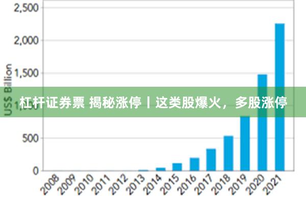 杠杆证券票 揭秘涨停丨这类股爆火，多股涨停