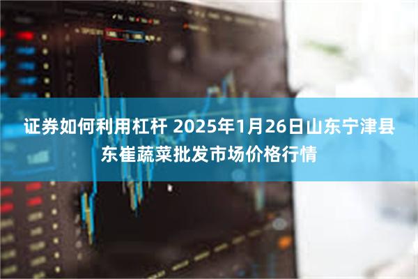 证券如何利用杠杆 2025年1月26日山东宁津县东崔蔬菜批发市场价格行情