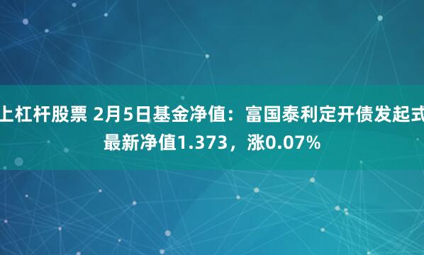 上杠杆股票 2月5日基金净值：富国泰利定开债发起式最新净值1.373，涨0.07%