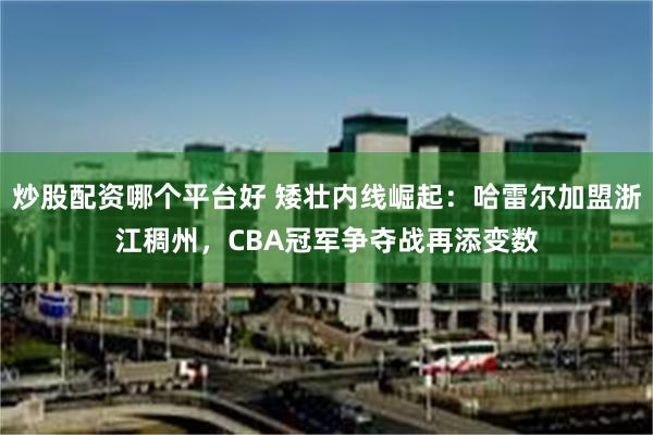 炒股配资哪个平台好 矮壮内线崛起：哈雷尔加盟浙江稠州，CBA冠军争夺战再添变数