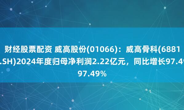 财经股票配资 威高股份(01066)：威高骨科(688161.SH)2024年度归母净利润2.22亿元，同比增长97.49%