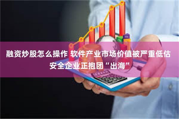 融资炒股怎么操作 软件产业市场价值被严重低估 安全企业正抱团“出海”