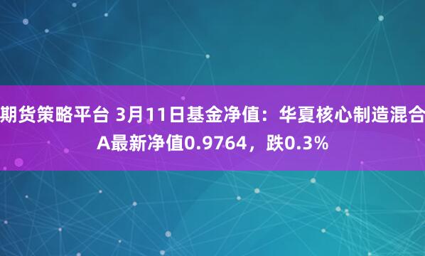 期货策略平台 3月11日基金净值：华夏核心制造混合A最新净值0.9764，跌0.3%