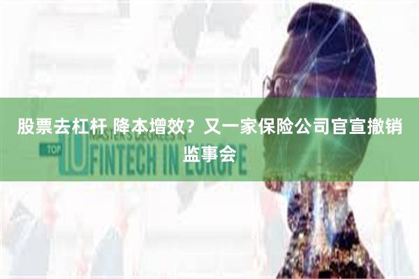 股票去杠杆 降本增效？又一家保险公司官宣撤销监事会